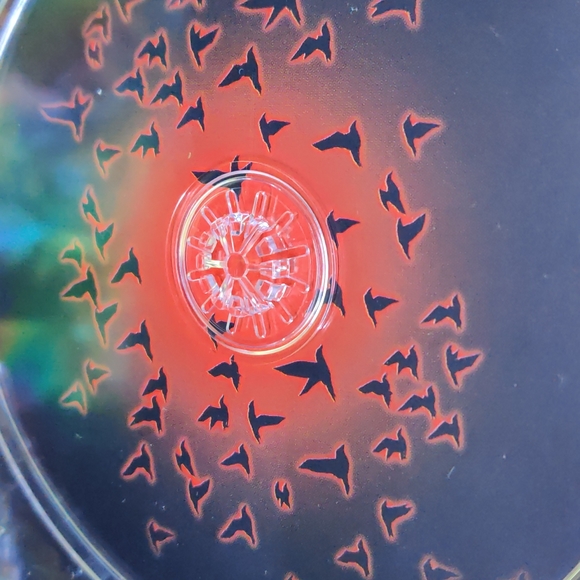 The Crow City of Angels - Picture 5 of 6